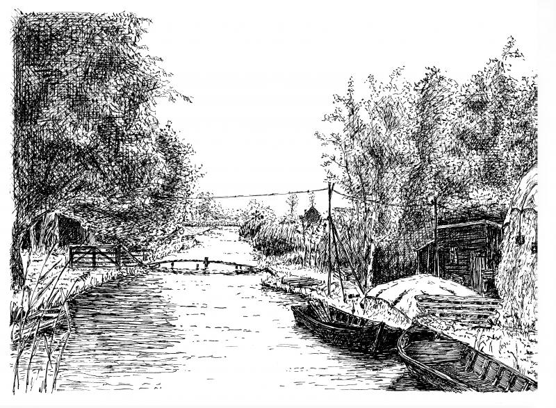 Foto 1008290292